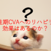 慢性期CVAへのリハビリの効果はあるのか？